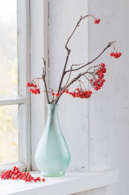 Pencere pervazı dallarda Rowan