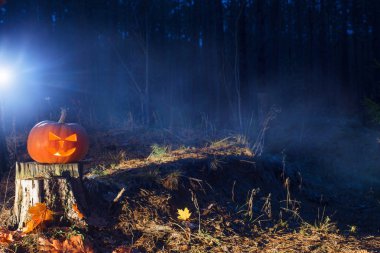 Cadılar Bayramı Balkabağı gece ormanda