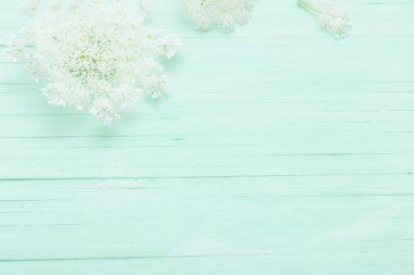 yeşil ahşap arka planda beyaz yabani çiçekler 