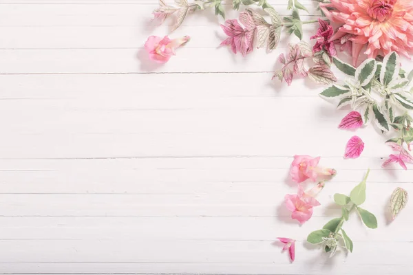 Mooie bloemen op witte houten achtergrond — Stockfoto