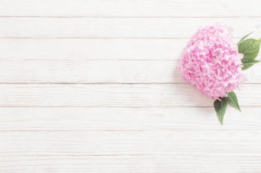 beyaz ahşap arka plan pembe ortanca