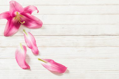Beyaz ahşap zemin üzerinde pembe lily çiçek