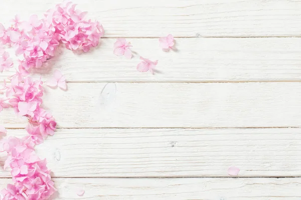 Hortensias rosadas sobre fondo blanco de madera — Foto de Stock