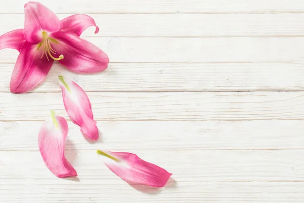 Pink lily blommor på vit trä bakgrund — Stockfoto