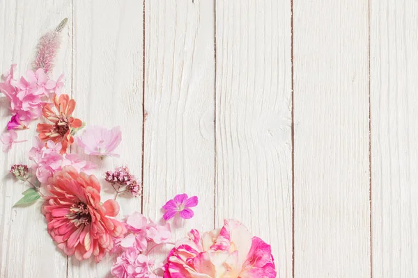 Розовые цветы на белом деревянном фоне — стоковое фото