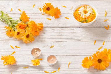  Beyaz ahşap arka planda Calendula şifalı çiçekler