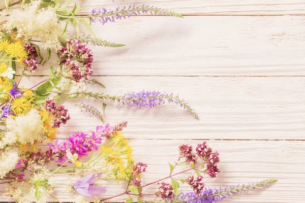 Fleurs sauvages sur fond de bois blanc — Photo