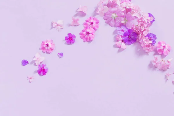 Sommer Blumen auf Papier Hintergrund — Stockfoto