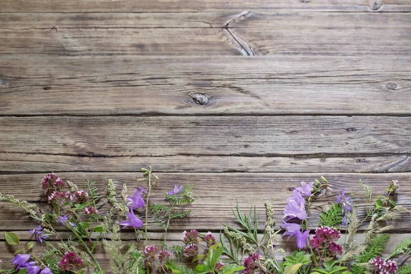 Flores silvestres sobre fondo oscuro de madera vieja —  Fotos de Stock