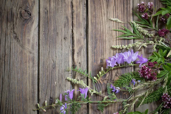 Flores silvestres sobre fondo oscuro de madera vieja — Foto de Stock