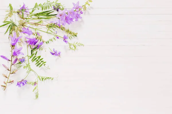 Bellflower på vit trä bakgrund — Stockfoto