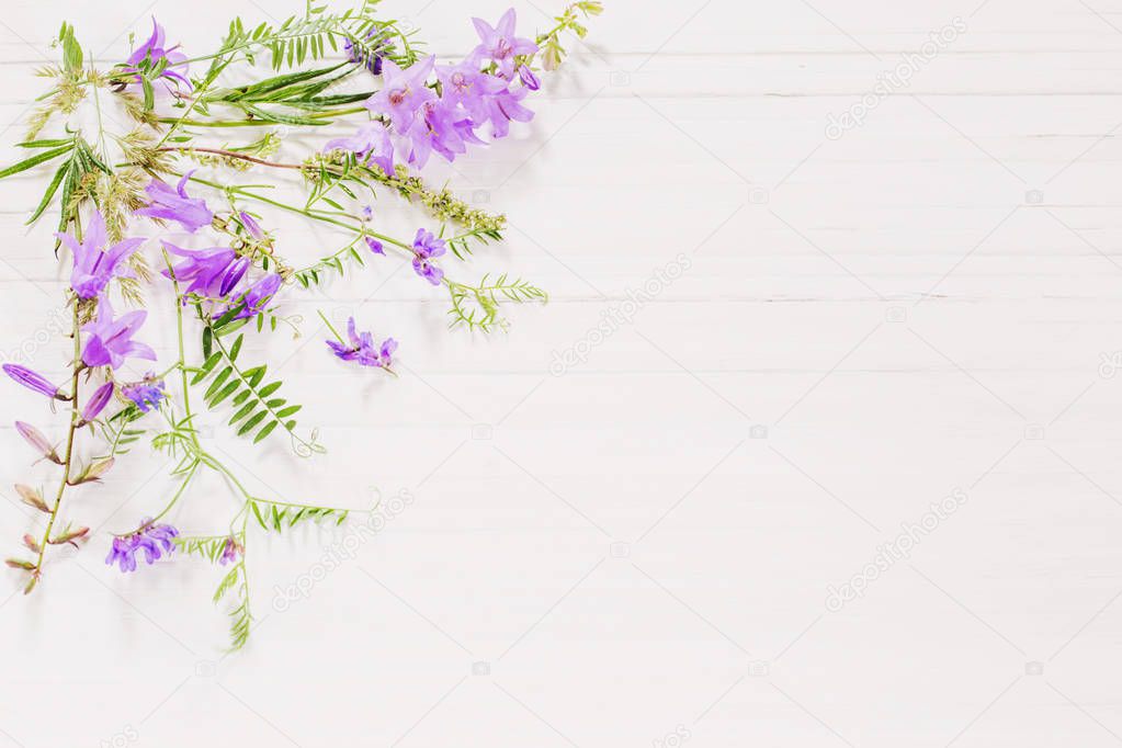 bellflower on white wooden background