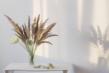 Beyaz iç güneş ışığında cam vazo yabani çim bitkiler