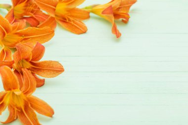 Ahşap arka planda turuncu zambak 