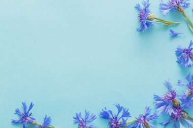 Mavi kağıtta mavi çiçekler