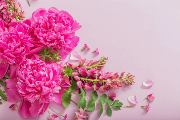 Różowe piękne kwiaty na różowym tle papieru — Zdjęcie stockowe