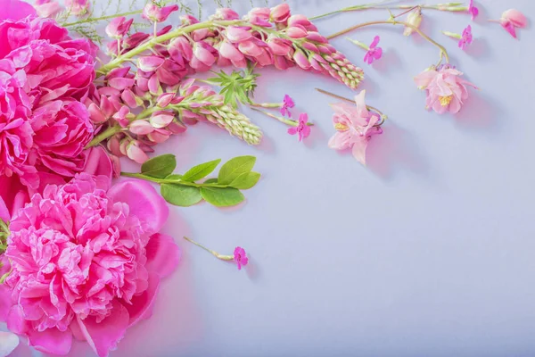 Różowe piękne kwiaty na niebieskim tle papieru — Zdjęcie stockowe