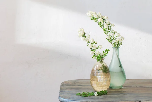 Ramas de Spirea en jarrones sobre fondo vintage de pared vieja — Foto de Stock