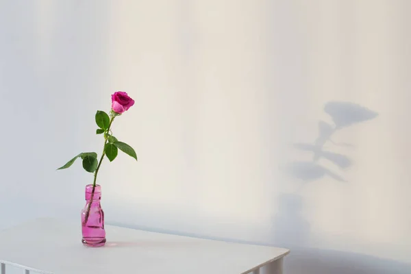 Rosa rosa en botella de vidrio en estante de madera blanca — Foto de Stock