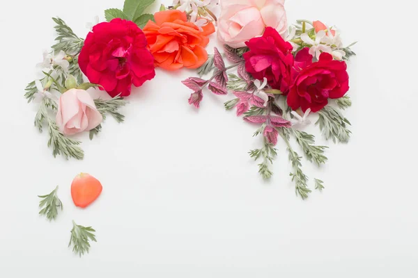 Rosa flores e folhas no fundo branco — Fotografia de Stock