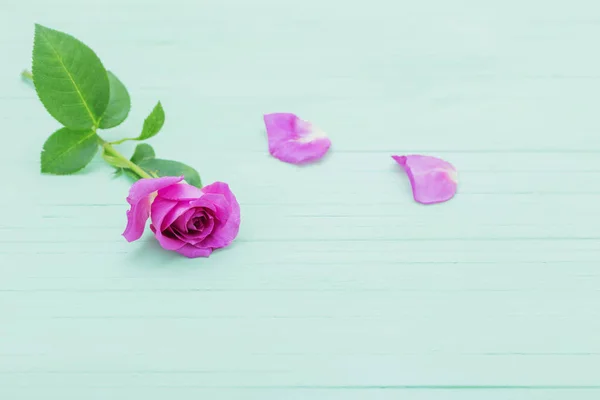 Paarse roos op groene houten achtergrond — Stockfoto