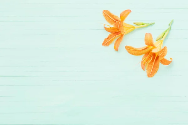 Lírio-dia laranja no fundo de madeira — Fotografia de Stock