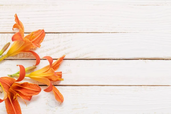 orange day-lily on wooden background