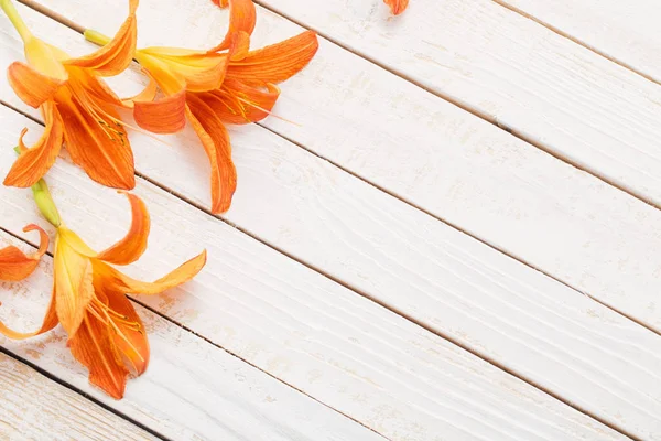 Orange day-lily on wooden background — Stock Photo, Image