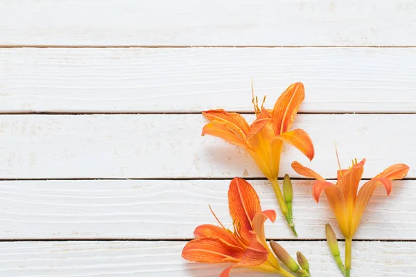 Oranžová denní lilie na dřevěném pozadí — Stock fotografie