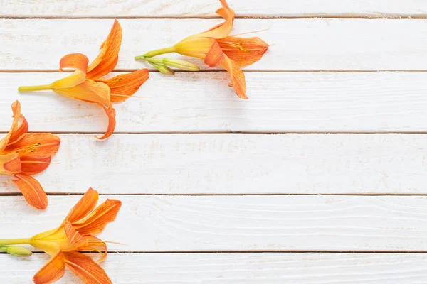 Orange Taglilie auf hölzernem Hintergrund — Stockfoto