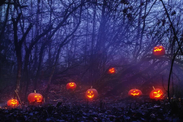 Abóboras de Halloween na floresta noturna — Fotografia de Stock