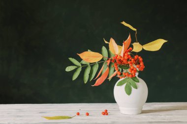 Koyu arkaplanda Rowan böğürtlenleriyle hayat