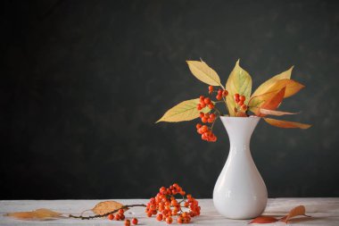 Koyu arkaplanda Rowan böğürtlenleriyle hayat