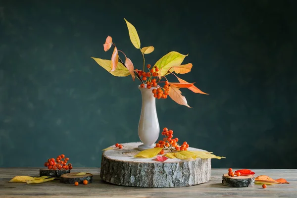 Still life with rowan berries on  dark background — Stock Photo, Image