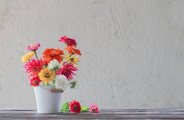 白い背景にバケツのジニアの花 — ストック写真