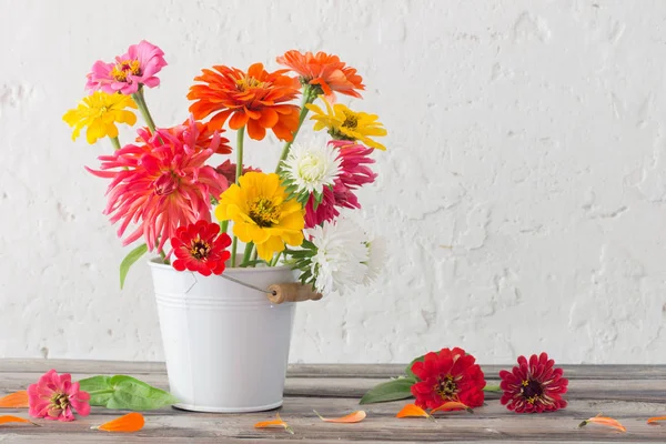 Zinnia fiori in secchio su sfondo bianco — Foto Stock