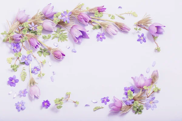 Schöne Frühlingsblumen auf violettem Hintergrund — Stockfoto