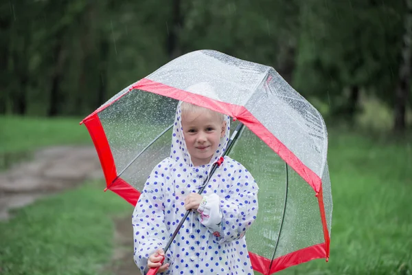 Rolig liten flicka med paraply i regn — Stockfoto