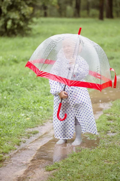 Rolig liten flicka med paraply i regn — Stockfoto