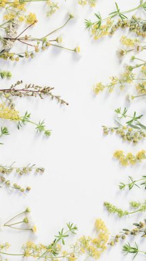 beyaz kağıt arka plan üzerinde kır çiçekleri 