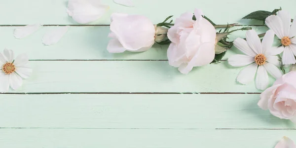 Fleurs Été Sur Fond Papier Vert — Photo