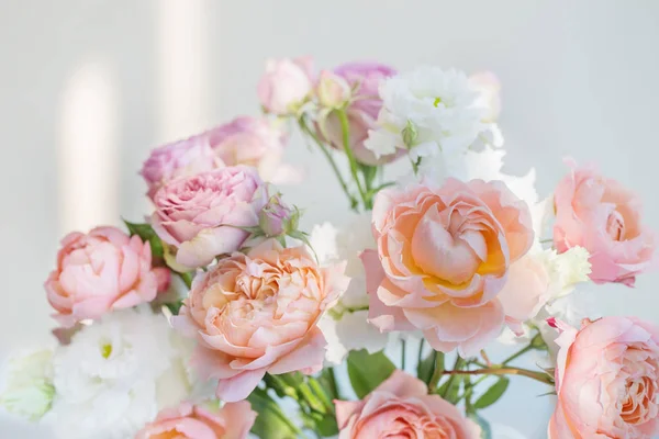 Belas rosas no fundo branco — Fotografia de Stock