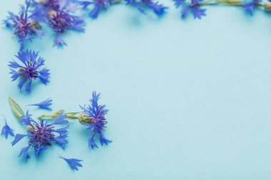 Mavi kağıtta mavi çiçekler