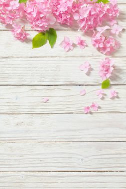 beyaz ahşap arka plan pembe ortanca