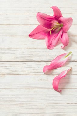 Beyaz ahşap zemin üzerinde pembe lily çiçek