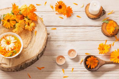  Beyaz ahşap arka planda Calendula şifalı çiçekler