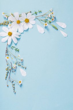 kağıt arka planda beyaz çiçekler 