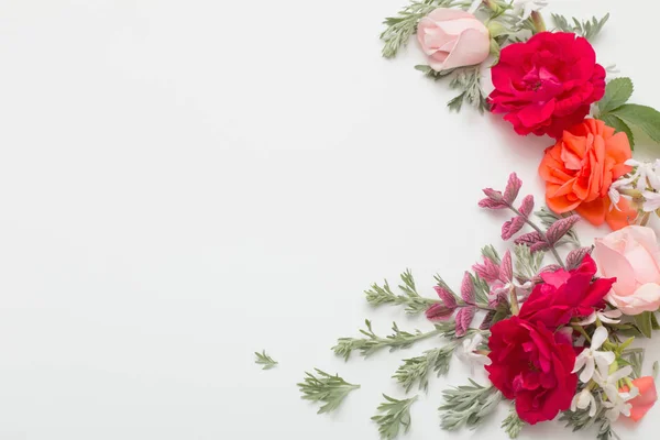 白い背景にバラの花と葉 — ストック写真