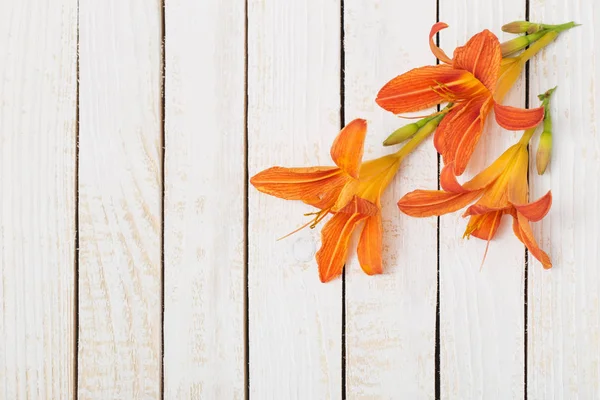 orange day-lily on wooden background