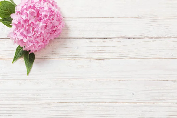 beyaz ahşap arka plan pembe ortanca